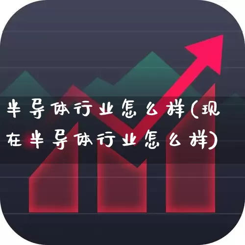 半导体行业怎么样(现在半导体行业怎么样)_https://www.xzdzcjx.com_上交所_第1张