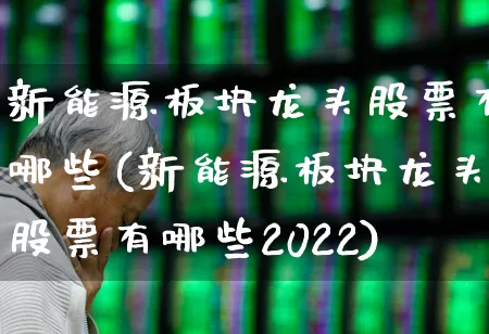 新能源板块龙头股票有哪些(新能源板块龙头股票有哪些2022)_https://www.xzdzcjx.com_北交所_第1张