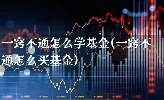 一窍不通怎么学基金(一窍不通怎么买基金)_https://www.xzdzcjx.com_北交所_第1张