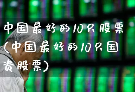 中国最好的10只股票(中国最好的10只国资股票)_https://www.xzdzcjx.com_深交所_第1张