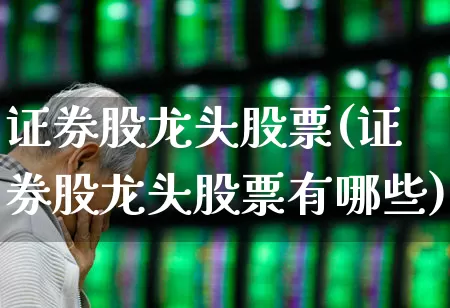 证券股龙头股票(证券股龙头股票有哪些)_https://www.xzdzcjx.com_创业板_第1张