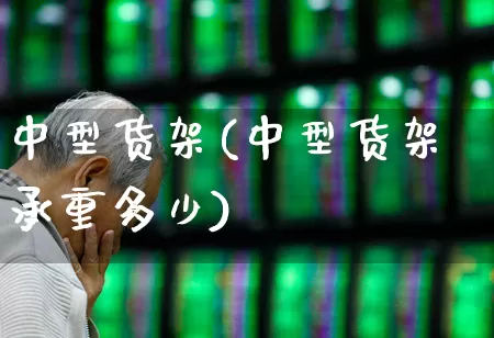 中型货架(中型货架承重多少)_https://www.xzdzcjx.com_北交所_第1张