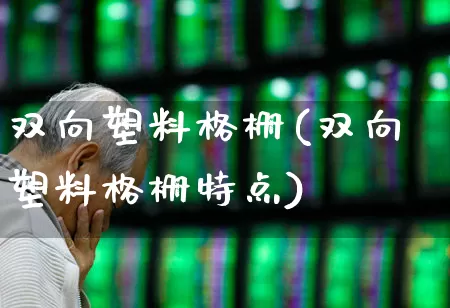 双向塑料格栅(双向塑料格栅特点)_https://www.xzdzcjx.com_上交所_第1张