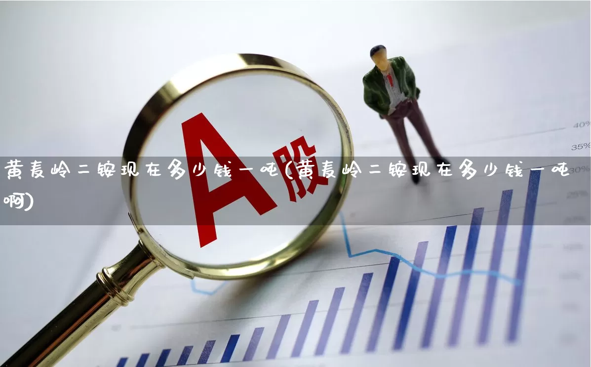 黄麦岭二铵现在多少钱一吨(黄麦岭二铵现在多少钱一吨啊)_https://www.xzdzcjx.com_深交所_第1张
