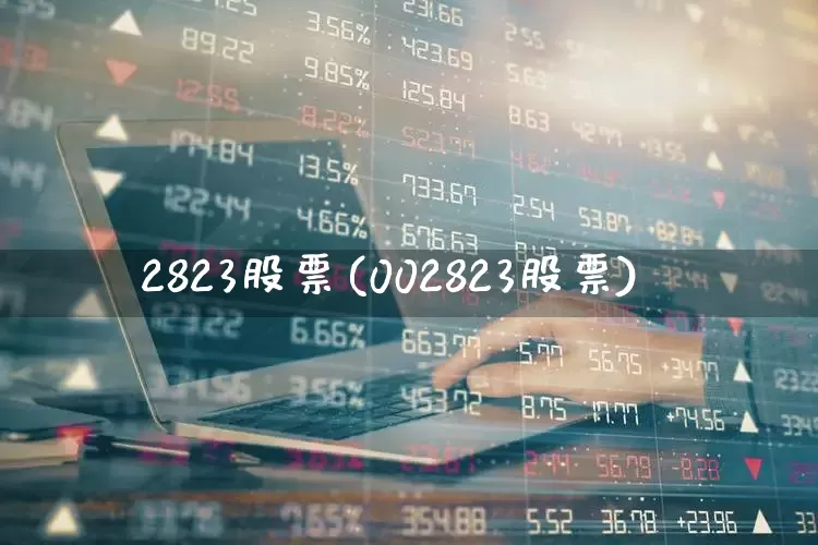 2823股票(002823股票)_https://www.xzdzcjx.com_上交所_第1张