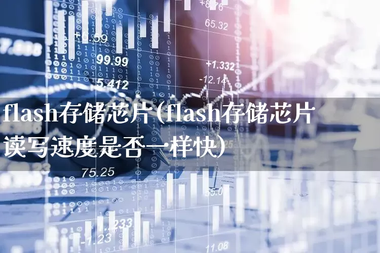 flash存储芯片(flash存储芯片读写速度是否一样快)_https://www.xzdzcjx.com_上交所_第1张