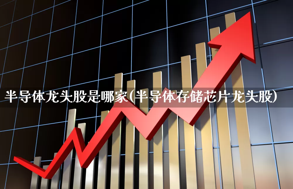 半导体龙头股是哪家(半导体存储芯片龙头股)_https://www.xzdzcjx.com_深交所_第1张