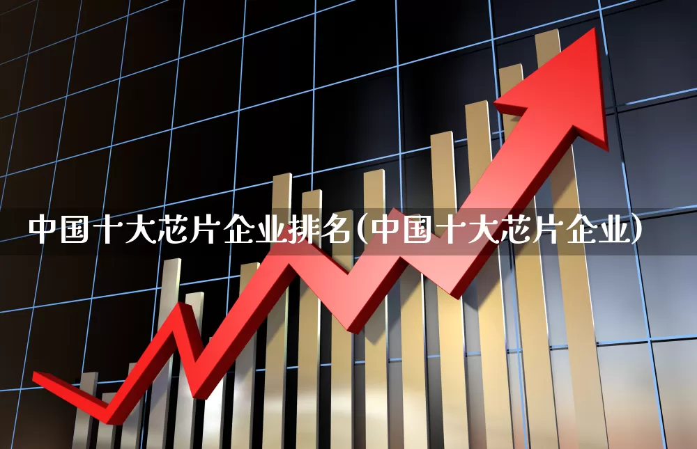 中国十大芯片企业排名(中国十大芯片企业)_https://www.xzdzcjx.com_创业板_第1张