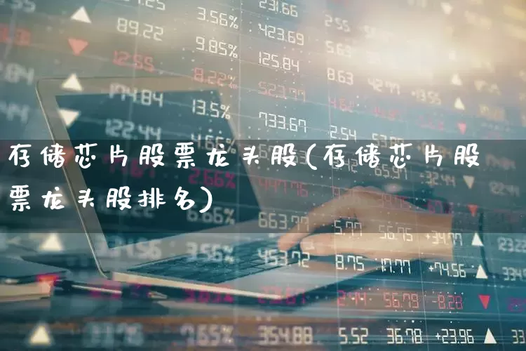 存储芯片股票龙头股(存储芯片股票龙头股排名)_https://www.xzdzcjx.com_北交所_第1张