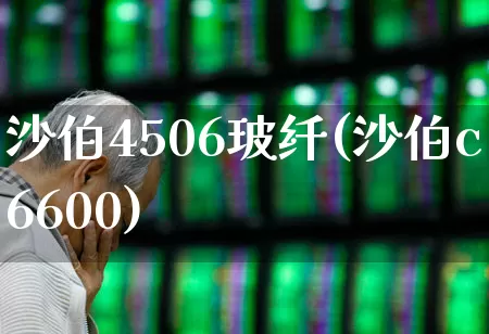 沙伯4506玻纤(沙伯c6600)_https://www.xzdzcjx.com_深交所_第1张