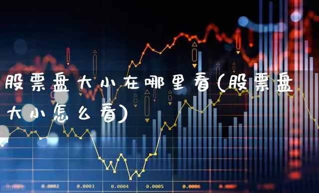 股票盘大小在哪里看(股票盘大小怎么看)_https://www.xzdzcjx.com_科创板_第1张
