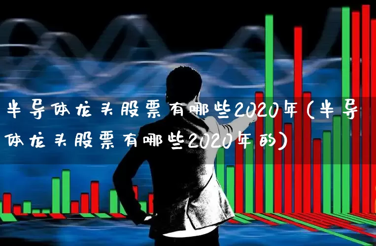 半导体龙头股票有哪些2020年(半导体龙头股票有哪些2020年的)_https://www.xzdzcjx.com_科创板_第1张
