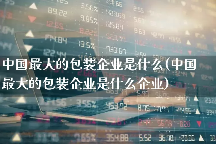 中国最大的包装企业是什么(中国最大的包装企业是什么企业)_https://www.xzdzcjx.com_深交所_第1张