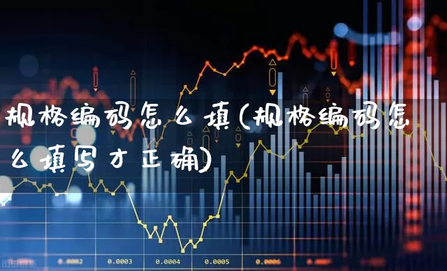 规格编码怎么填(规格编码怎么填写才正确)_https://www.xzdzcjx.com_科创板_第1张