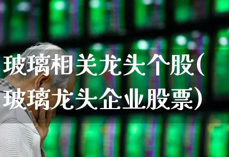 玻璃相关龙头个股(玻璃龙头企业股票)_https://www.xzdzcjx.com_创业板_第1张