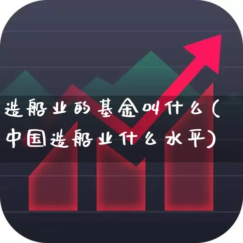造船业的基金叫什么(中国造船业什么水平)_https://www.xzdzcjx.com_创业板_第1张