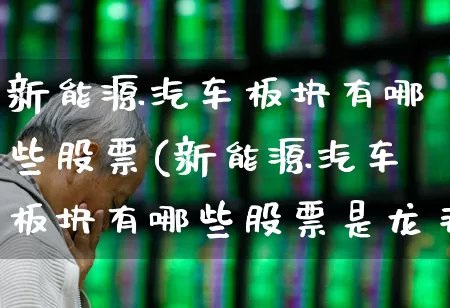 新能源汽车板块有哪些股票(新能源汽车板块有哪些股票是龙头股)_https://www.xzdzcjx.com_深交所_第1张