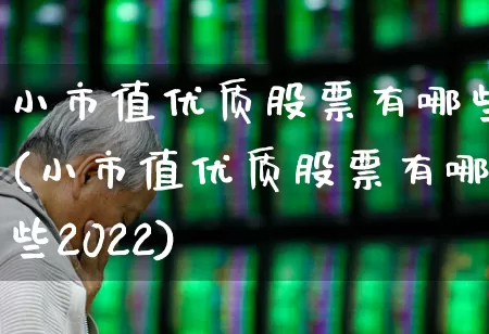 小市值优质股票有哪些(小市值优质股票有哪些2022)_https://www.xzdzcjx.com_上交所_第1张