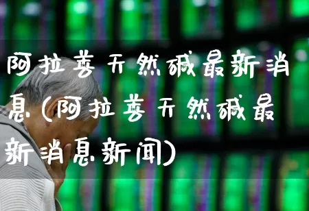阿拉善天然碱最新消息(阿拉善天然碱最新消息新闻)_https://www.xzdzcjx.com_上交所_第1张