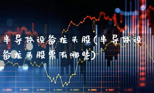 半导体设备龙头股(半导体设备龙头股票有哪些)_https://www.xzdzcjx.com_科创板_第1张
