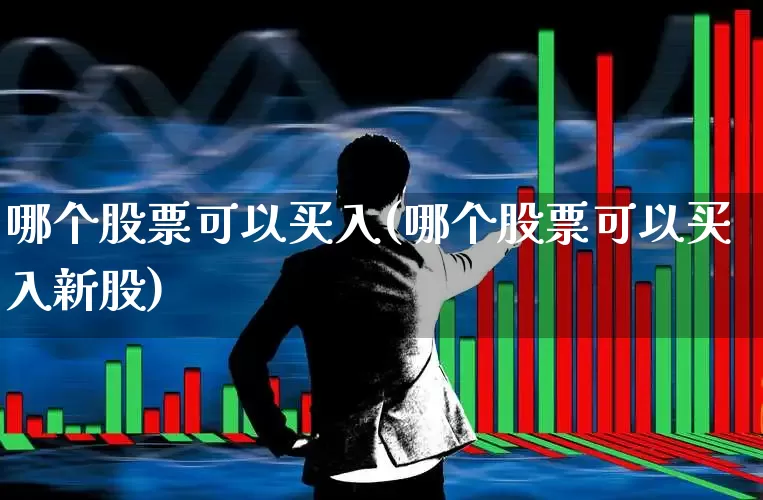 哪个股票可以买入(哪个股票可以买入新股)_https://www.xzdzcjx.com_北交所_第1张
