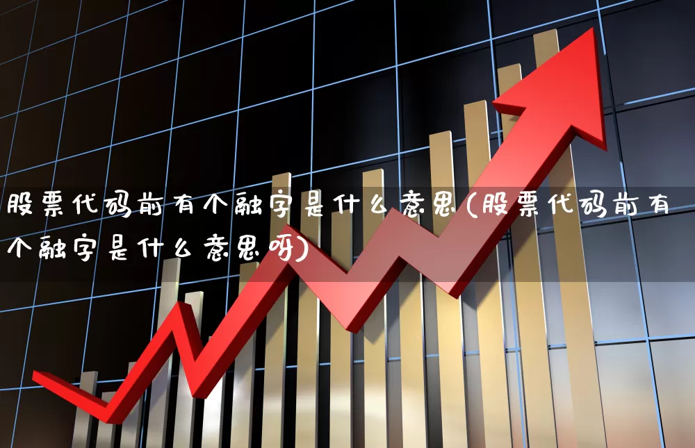 股票代码前有个融字是什么意思(股票代码前有个融字是什么意思呀)_https://www.xzdzcjx.com_北交所_第1张