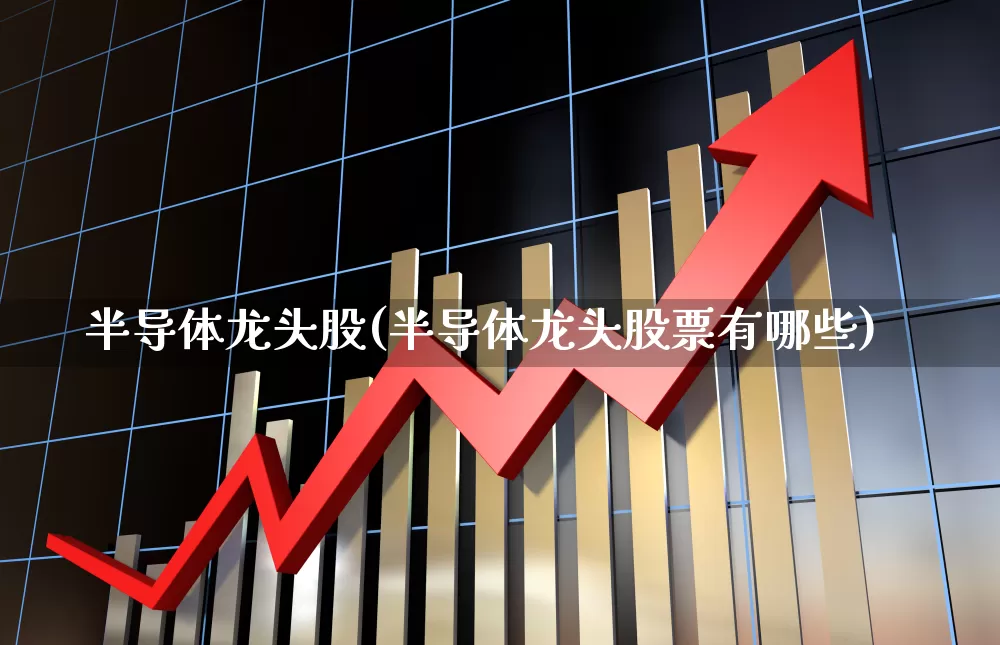 半导体龙头股(半导体龙头股票有哪些)_https://www.xzdzcjx.com_深交所_第1张
