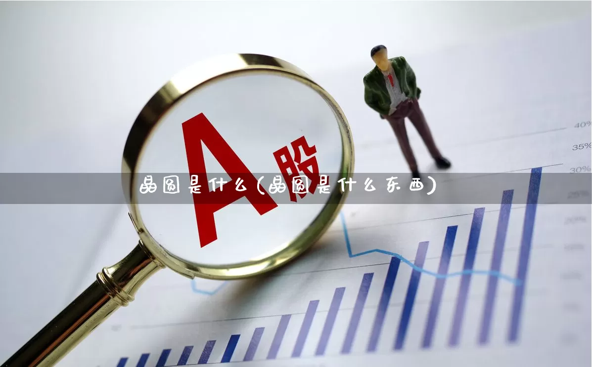 晶圆是什么(晶圆是什么东西)_https://www.xzdzcjx.com_创业板_第1张