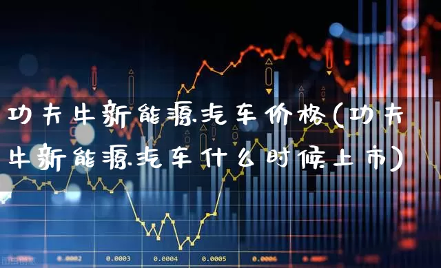 功夫牛新能源汽车价格(功夫牛新能源汽车什么时候上市)_https://www.xzdzcjx.com_科创板_第1张
