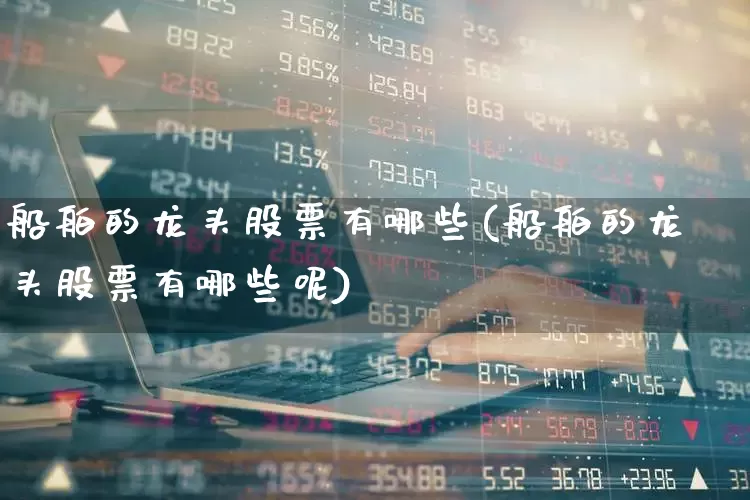 船舶的龙头股票有哪些(船舶的龙头股票有哪些呢)_https://www.xzdzcjx.com_北交所_第1张