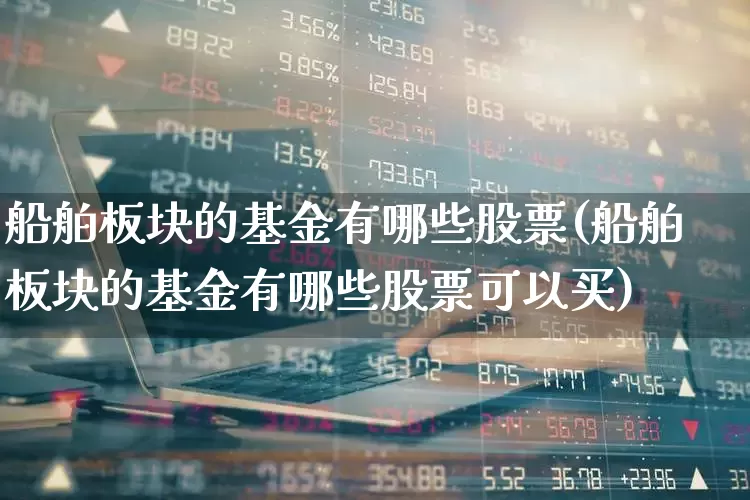 船舶板块的基金有哪些股票(船舶板块的基金有哪些股票可以买)_https://www.xzdzcjx.com_上交所_第1张