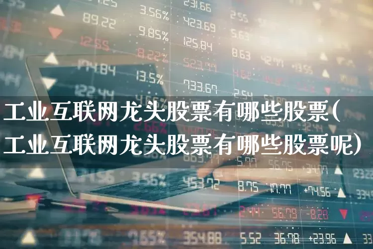 工业互联网龙头股票有哪些股票(工业互联网龙头股票有哪些股票呢)_https://www.xzdzcjx.com_深交所_第1张