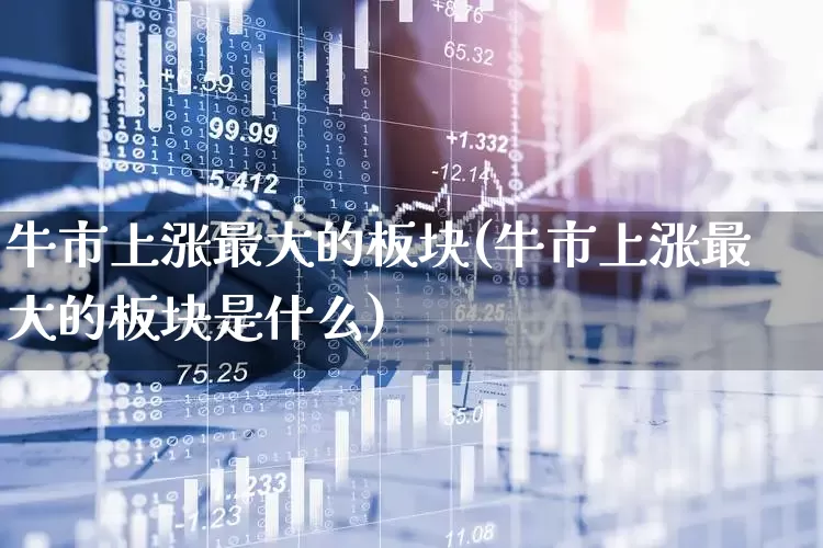 牛市上涨最大的板块(牛市上涨最大的板块是什么)_https://www.xzdzcjx.com_上交所_第1张