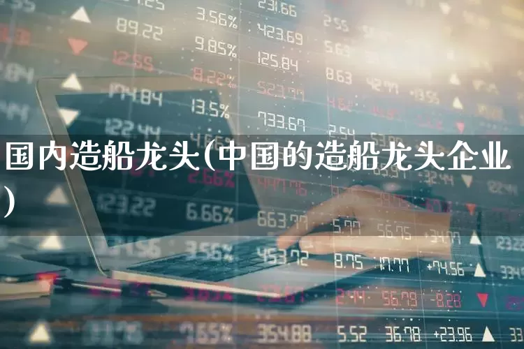 国内造船龙头(中国的造船龙头企业)_https://www.xzdzcjx.com_科创板_第1张