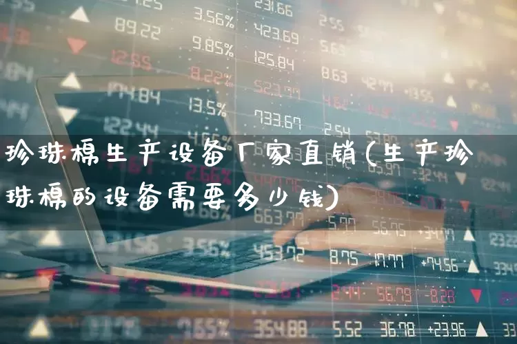 珍珠棉生产设备厂家直销(生产珍珠棉的设备需要多少钱)_https://www.xzdzcjx.com_北交所_第1张