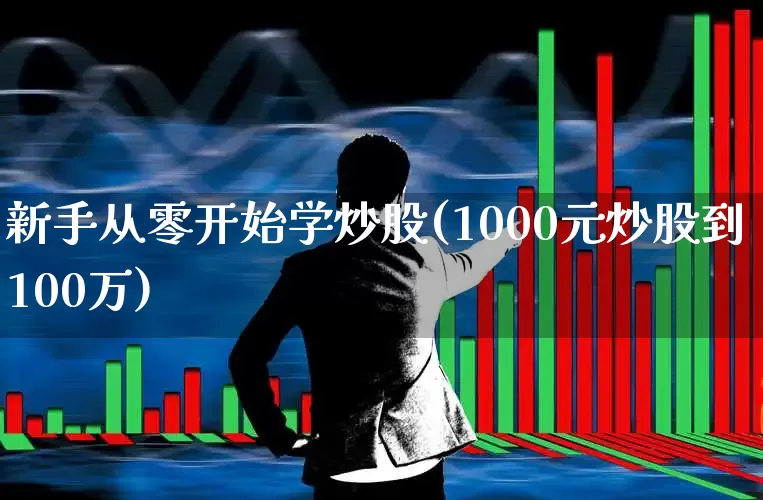 新手从零开始学炒股(1000元炒股到100万)_https://www.xzdzcjx.com_北交所_第1张