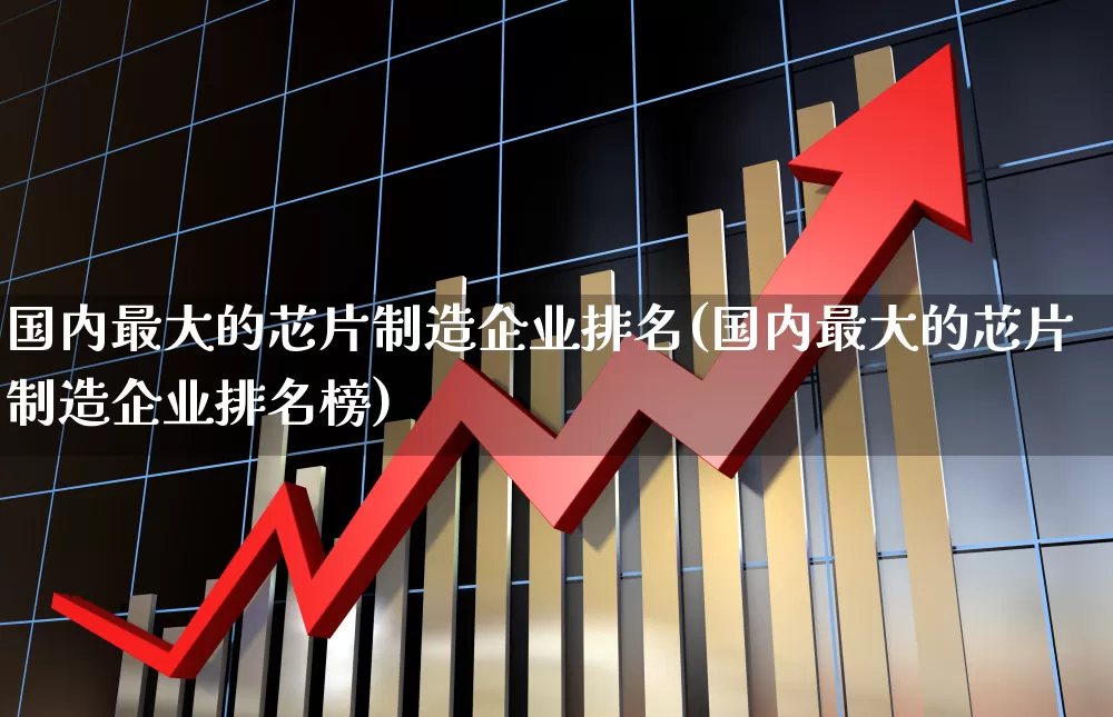 国内最大的芯片制造企业排名(国内最大的芯片制造企业排名榜)_https://www.xzdzcjx.com_上交所_第1张