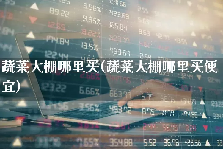 蔬菜大棚哪里买(蔬菜大棚哪里买便宜)_https://www.xzdzcjx.com_深交所_第1张