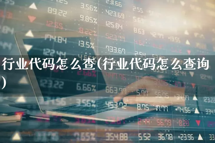 行业代码怎么查(行业代码怎么查询)_https://www.xzdzcjx.com_北交所_第1张