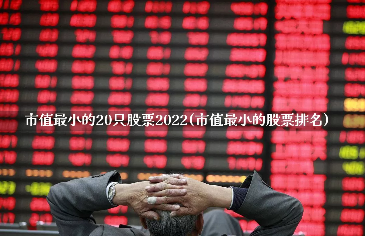 市值最小的20只股票2022(市值最小的股票排名)_https://www.xzdzcjx.com_北交所_第1张