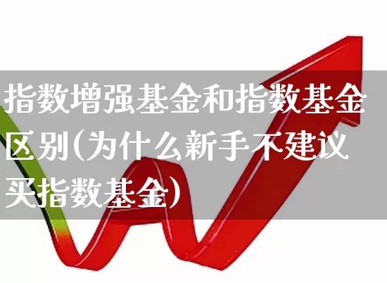 指数增强基金和指数基金区别(为什么新手不建议买指数基金)_https://www.xzdzcjx.com_深交所_第1张
