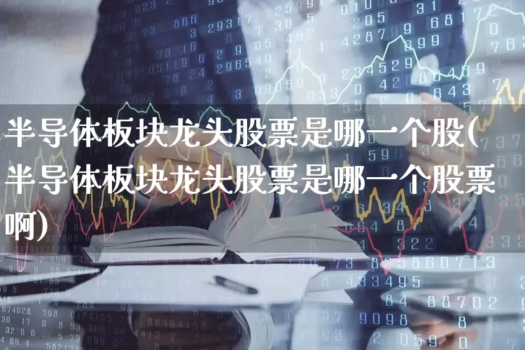 半导体板块龙头股票是哪一个股(半导体板块龙头股票是哪一个股票啊)_https://www.xzdzcjx.com_深交所_第1张