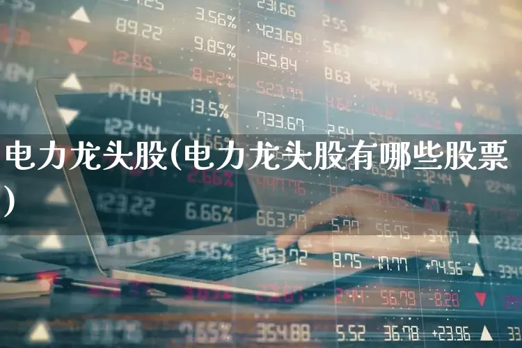 电力龙头股(电力龙头股有哪些股票)_https://www.xzdzcjx.com_科创板_第1张