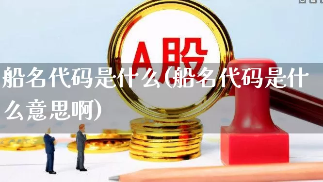 船名代码是什么(船名代码是什么意思啊)_https://www.xzdzcjx.com_创业板_第1张