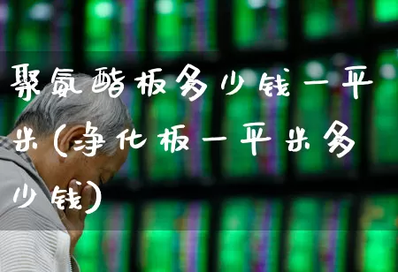 聚氨酯板多少钱一平米(净化板一平米多少钱)_https://www.xzdzcjx.com_北交所_第1张