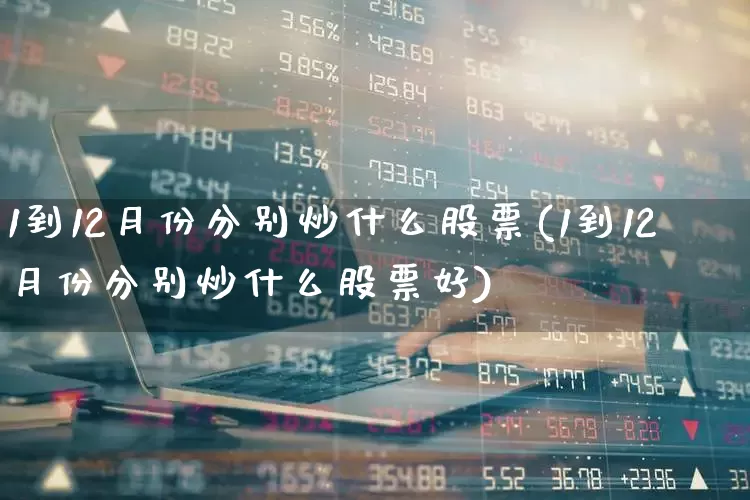 1到12月份分别炒什么股票(1到12月份分别炒什么股票好)_https://www.xzdzcjx.com_北交所_第1张