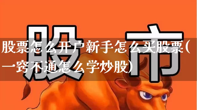 股票怎么开户新手怎么买股票(一窍不通怎么学炒股)_https://www.xzdzcjx.com_上交所_第1张