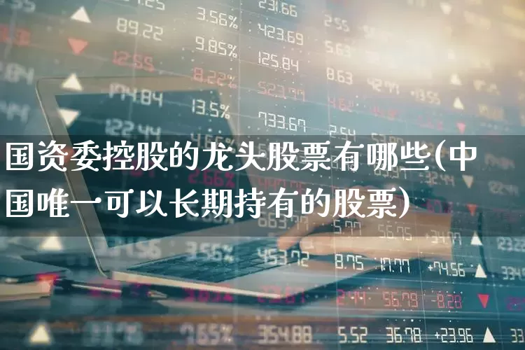 国资委控股的龙头股票有哪些(中国唯一可以长期持有的股票)_https://www.xzdzcjx.com_上交所_第1张