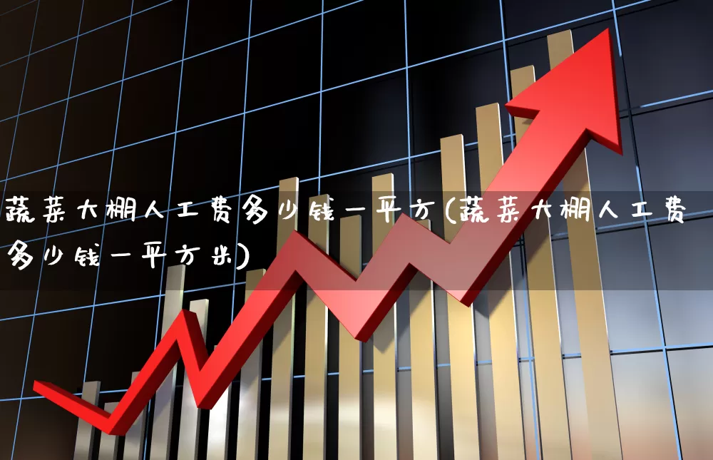 蔬菜大棚人工费多少钱一平方(蔬菜大棚人工费多少钱一平方米)_https://www.xzdzcjx.com_深交所_第1张