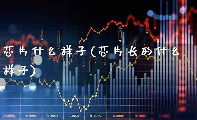 芯片什么样子(芯片长的什么样子)_https://www.xzdzcjx.com_深交所_第1张